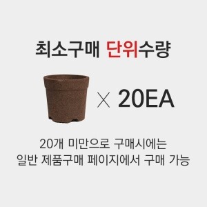 커피화분(대) 20개 _ Green