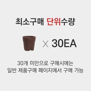 커피화분(중) 30개 _ Green