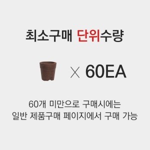 커피화분(소) 60개 _ Green